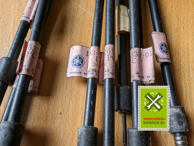 PXL_20240507_145946999